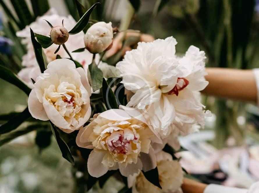 Florist Image 76 Copyright 890x664